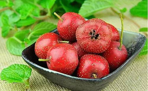 有哪些好的人参果,千果之王板栗