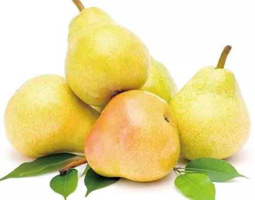 有哪些好的人参果,千果之王板栗