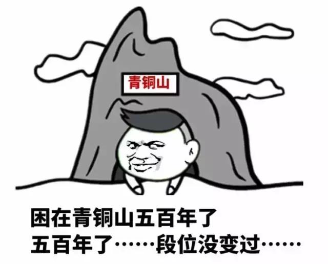 一次意外动物和人类互换了灵魂,为什么荷兰猪会突然变得很烦躁