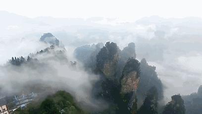 八点半夜读,八点夜读