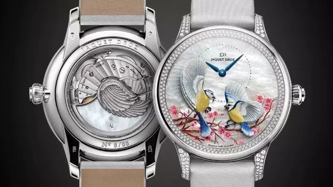 腕上鸟类图鉴｜谁是颜值之巅？