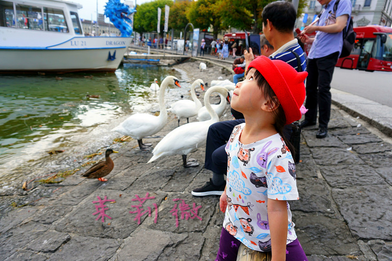 买香奈儿还是圣罗兰,买香奈儿希尔顿还是买dior戴妃