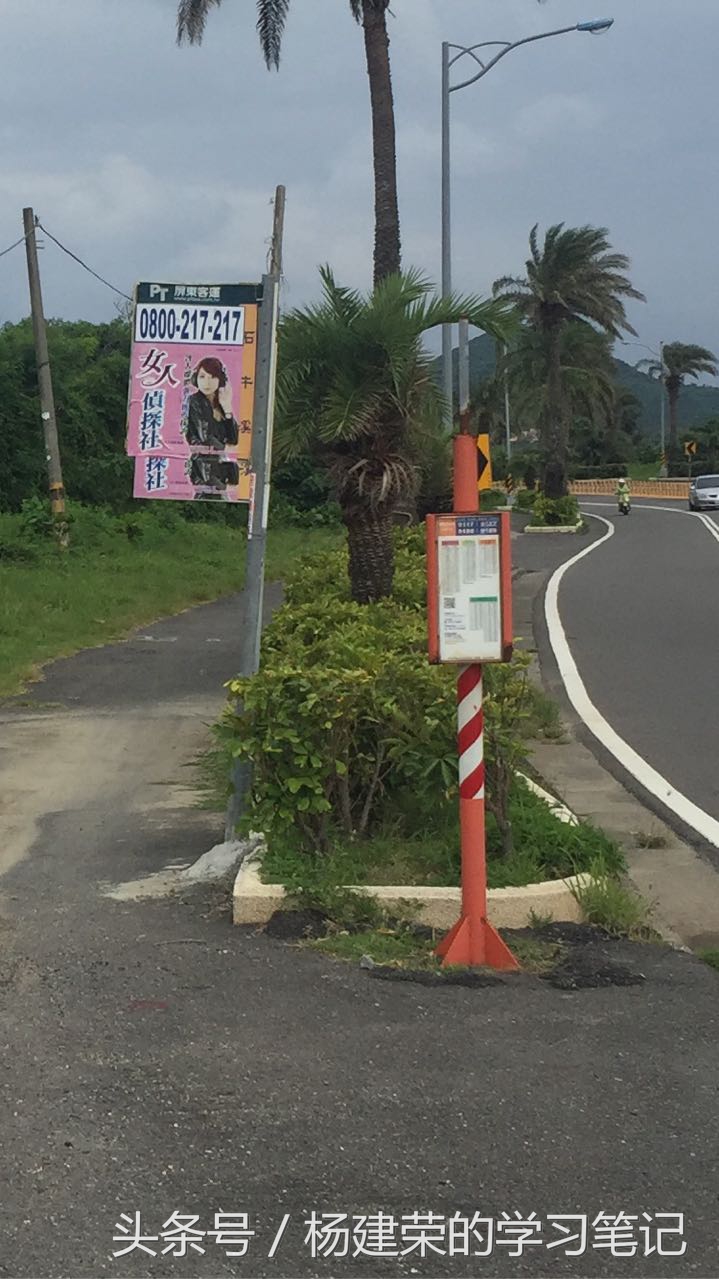 台湾游记最新预告,台湾游记完整版