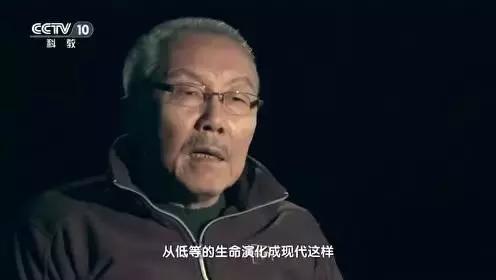 中国天眼fast天眼,放弃国外70倍高薪