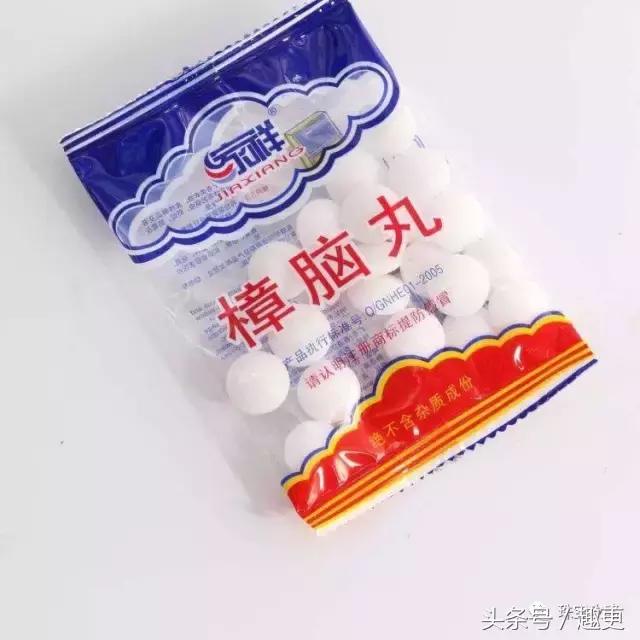 文玩里的虫,文玩里的虫子是什么虫子