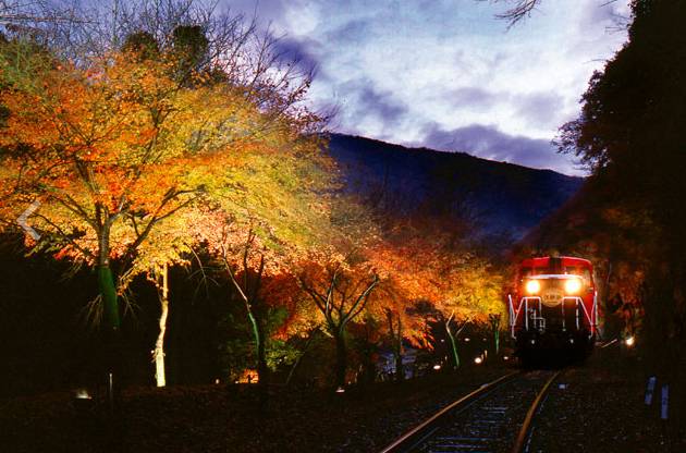 京都岚山小火车旅游攻略,京都岚山枫叶攻略