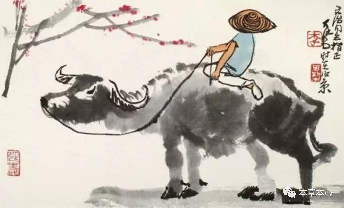 踏秋时节，雨霏霏，明日就是秋分