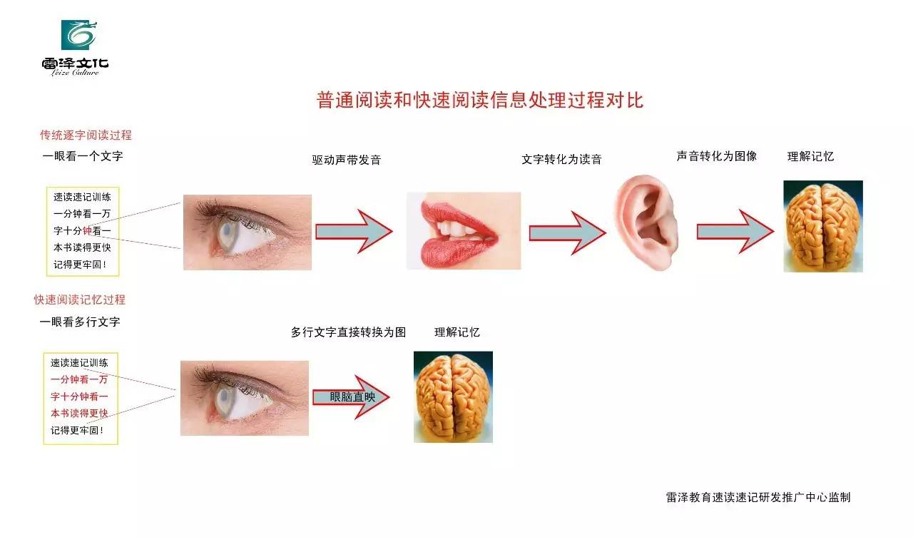 速读速记加思维导图,速读速记思维导图的副作用