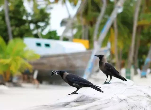 感受体温40度,感受体温