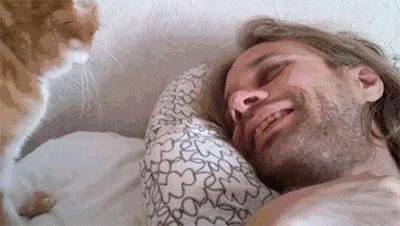 被猫咬伤要打狂犬疫苗吗,自家宠物猫抓伤需要打狂犬疫苗吗