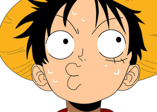 海贼王最吸引的片段,海贼王最吸引你的是什么