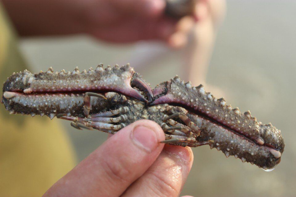 去台湾最近的地方,去祖国大陆离台湾最近的地方