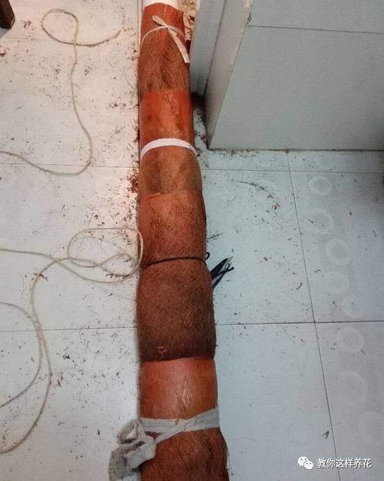 自制绿萝棕柱视频,自制绿萝柱子