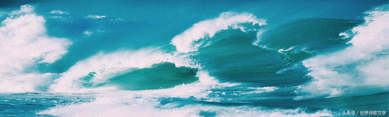 「世界诗歌文学」浪头一直举起没有倒下，很多事物一哄而散