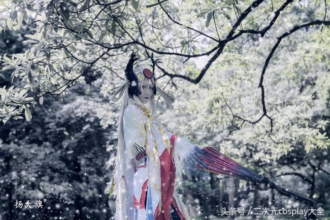 阴阳师姑获鸟金鸾鹤羽现在稀有吗,四相目阴阳师cos