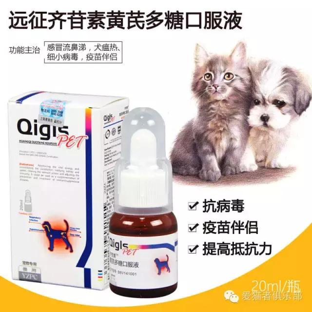 猫咪可以用的人类药品种类,猫咪应激反应常用药