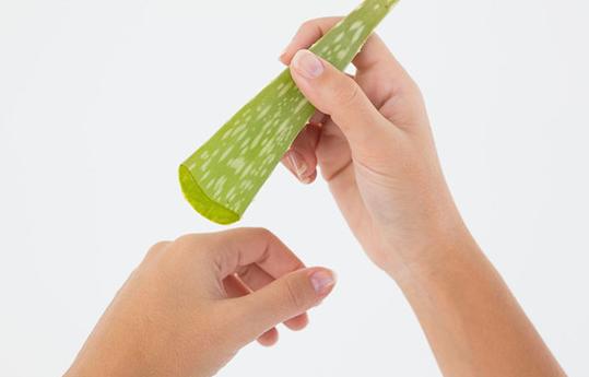 市面上芦荟胶没有效果？不如用生芦荟来敷脸，5个方法来自制面膜