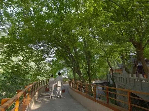 中式酒店典藏版｜50家最美中式酒店