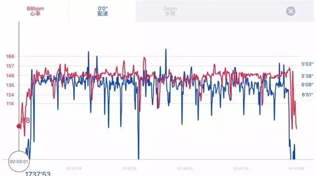 E1-hr｜北马430兔子心率为何突增？