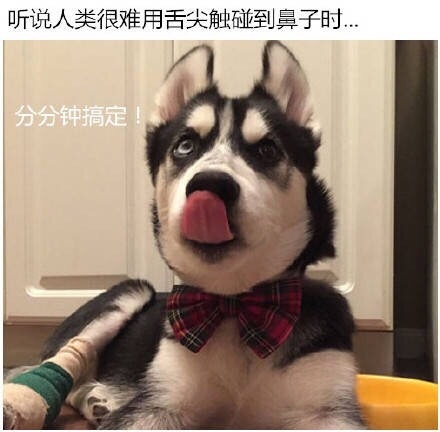 员工辞职理由怎么写,员工辞职申请需要审批吗