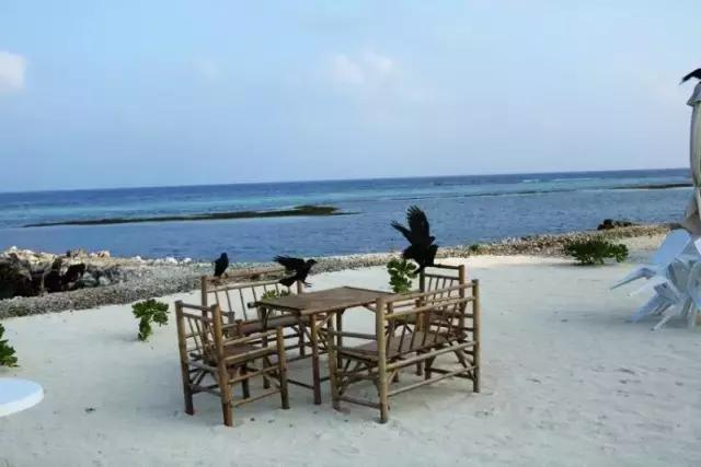 感受体温40度,感受体温