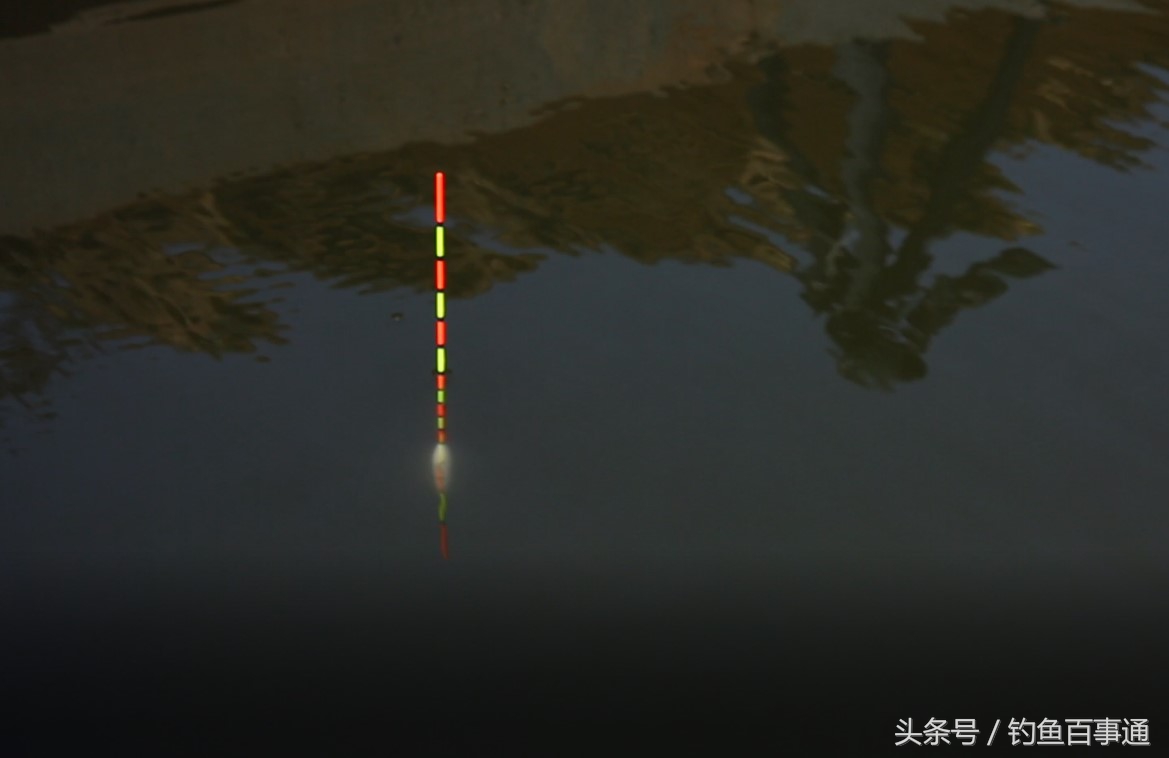 浮漂小凤仙野钓,川泽浮漂与小凤仙浮漂质量对比