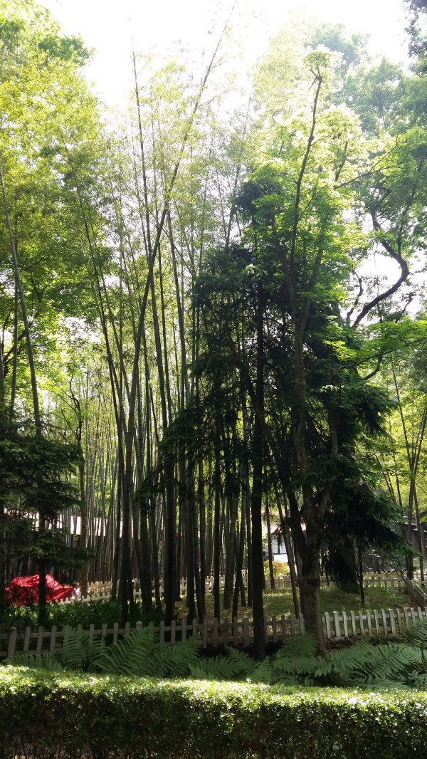 庐山一座千古文化名山,庐山最美丽的景色是哪里