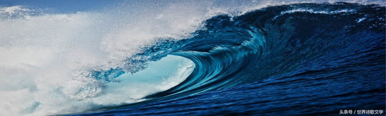 「世界诗歌文学」浪头一直举起没有倒下，很多事物一哄而散
