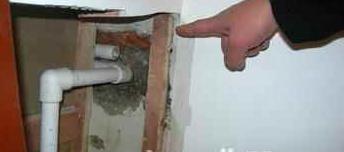 室内卫生间防臭小妙招,屋内厕所臭用什么办法除臭