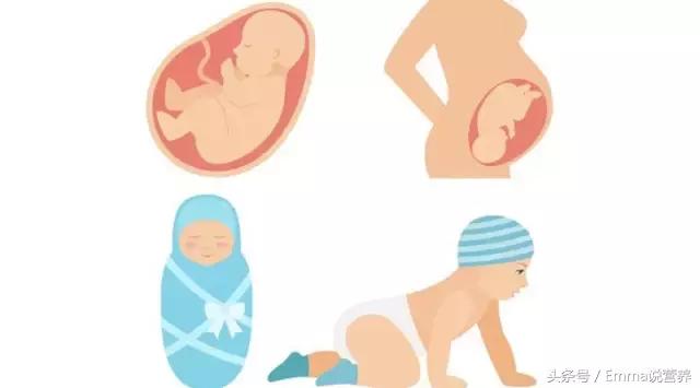 “卵磷脂”并非“然并卵”，它的好处你可知道？