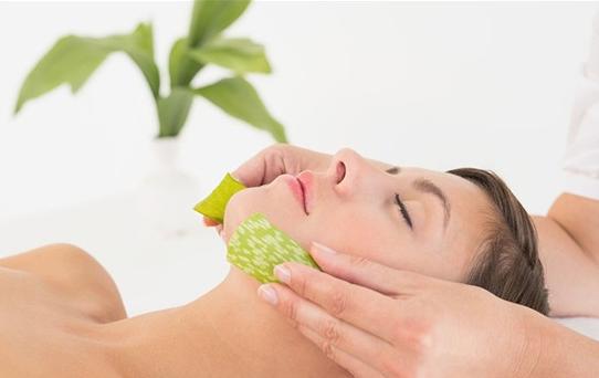 市面上芦荟胶没有效果？不如用生芦荟来敷脸，5个方法来自制面膜