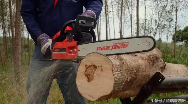 伐木油锯使用注意事项,油锯伐木时需要注意什么