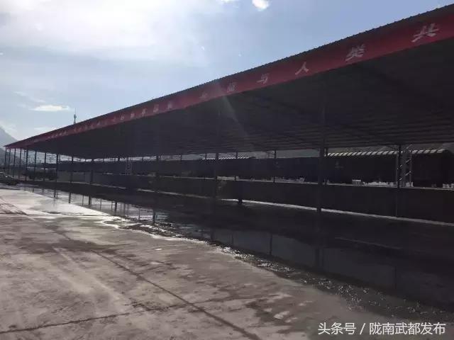 煤炭二级交易市场成立,大通县煤炭集中交易市场