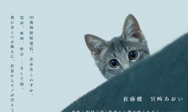 可爱猫咪动画片有哪些,十大可爱的猫咪动画片
