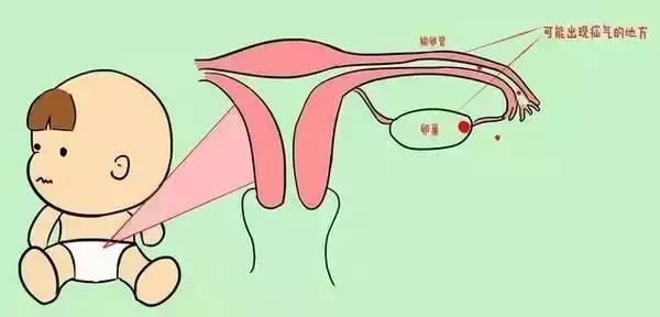 两岁男孩意外脑死亡父母捐献器官,两岁男童不幸离世妈妈含泪