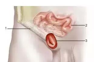 两岁男孩意外脑死亡父母捐献器官,两岁男童不幸离世妈妈含泪