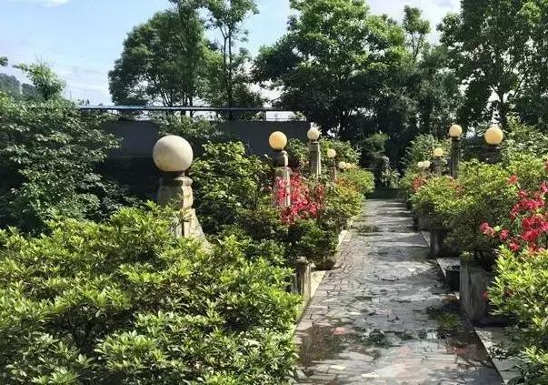 精选南岸嘿巴适农家乐，这个国庆有得耍，让你嗨到不想回家！