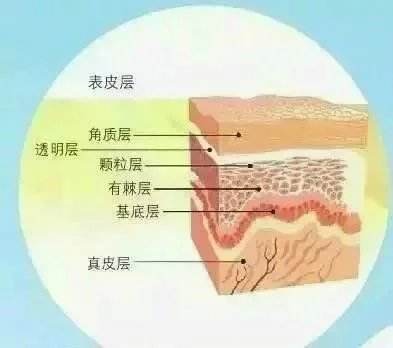 外油内干长痘怎么回事,外油内干为什么起痘痘