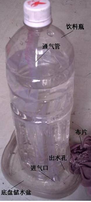 简易浇花滴漏装置制作方法,废物利用制作浇花器的教学