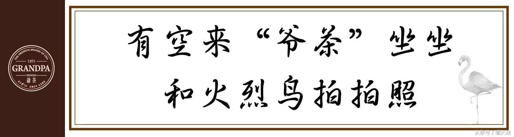 天津终于迎来台湾排队王“爷茶”！爷爷泡的网红茶！