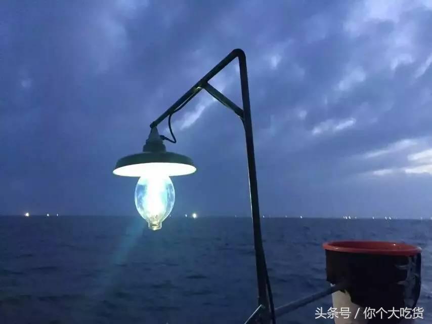 食材｜东山小管：有着一肚子的墨水，却是鱿鱼家族的小可爱！