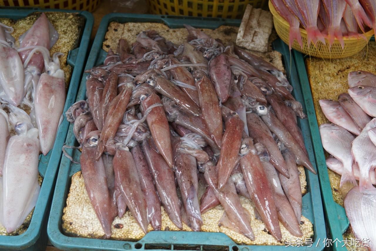 食材｜东山小管：有着一肚子的墨水，却是鱿鱼家族的小可爱！