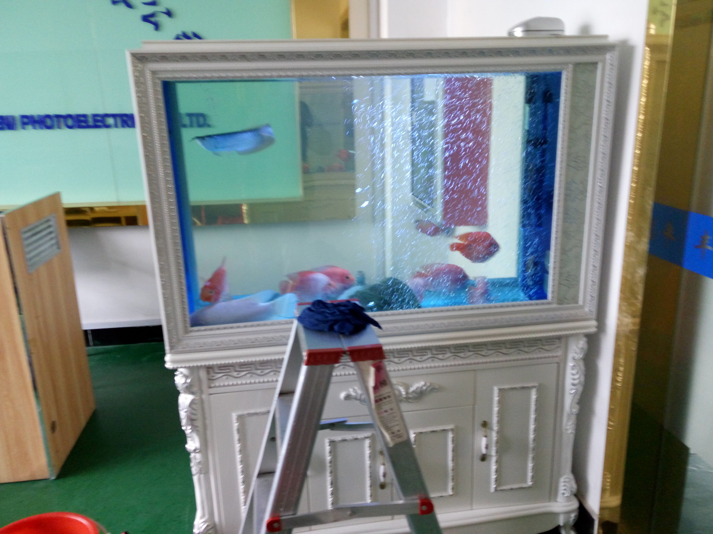 鱼缸买回来不能急着用吗,简单鱼缸买回来怎么安装