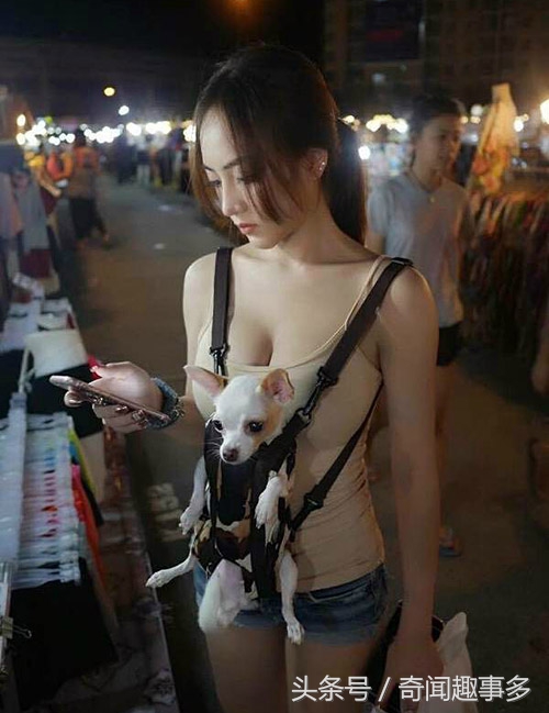 天王盖地虎，这tm真的一米吧，不过做她的猫真幸福