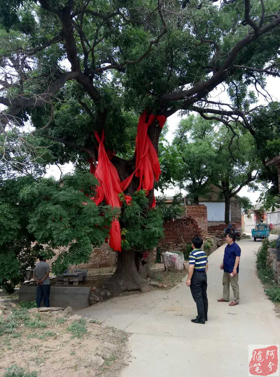 农村最常见的草能止痒,农村常见的止痒植物外用