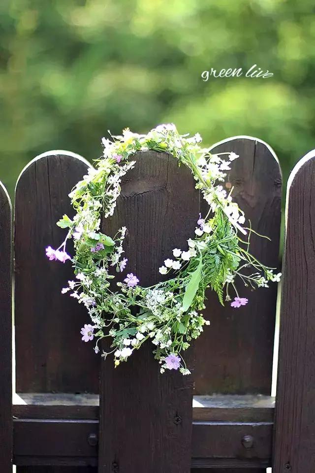 植物如何驱虫比较有效,植物驱虫方法小妙招