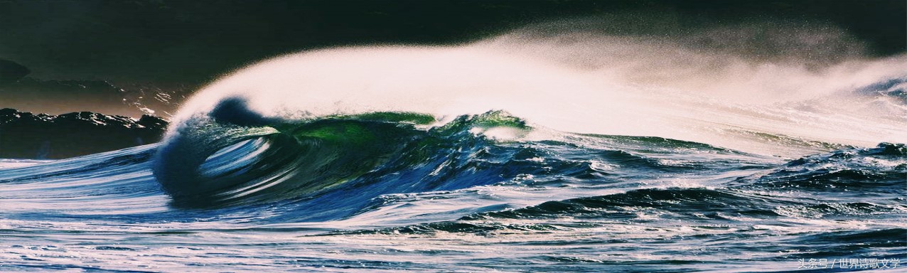 「世界诗歌文学」浪头一直举起没有倒下，很多事物一哄而散