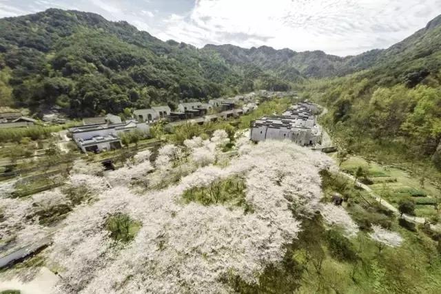 中式酒店典藏版｜50家最美中式酒店