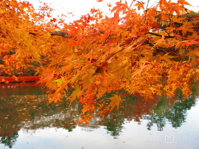 轻井泽游玩攻略,日本东京上野攻略
