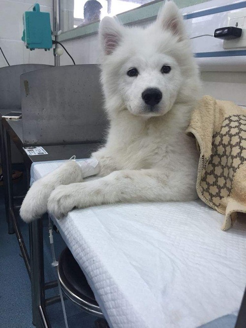 注意预防远离流感,秋冬季如何预防流感和新冠